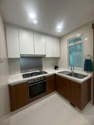 The Raintree (D21), Condominium #598591041